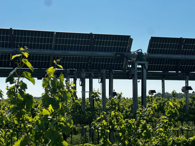 Système agrivoltaïque